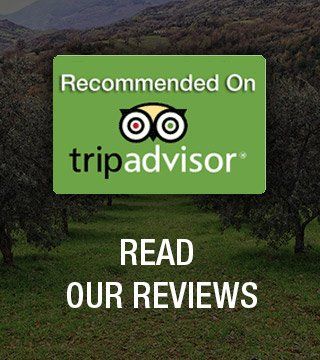 Trip advisor logo - read our reviews