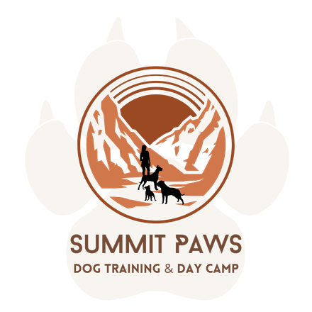 A logo for summit paws dog training and day camp