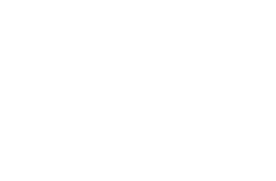 Hotel Praia dos Carneiros logo
