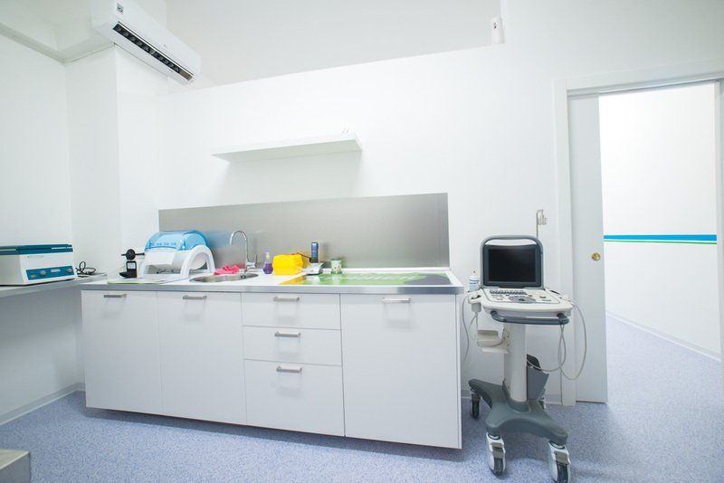 clinica veterinaria temesa