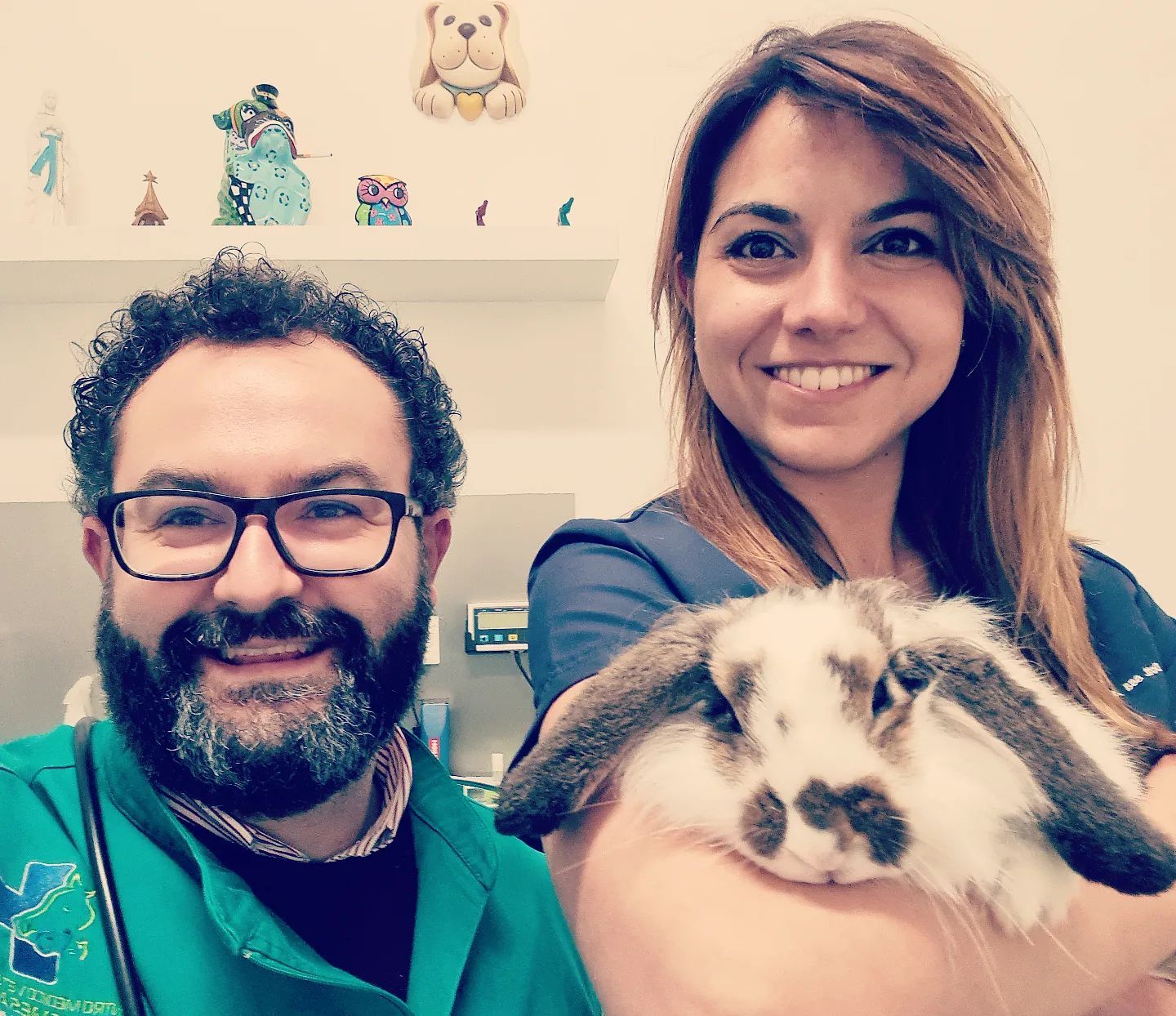 Veterinario e assistente sorridono con un soffice coniglietto in una clinica.