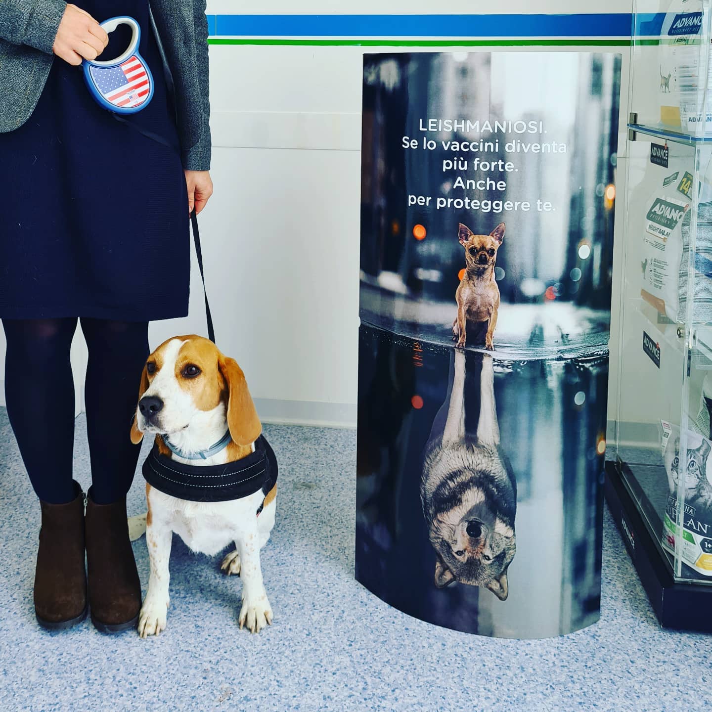 leishmaniosi prevenzione