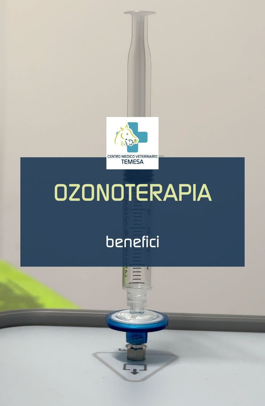 Un corgi bagnato e un cagnolino nero in una vasca bianca, mentre un giocattolo a forma di paperella blu galleggia lì vicino.