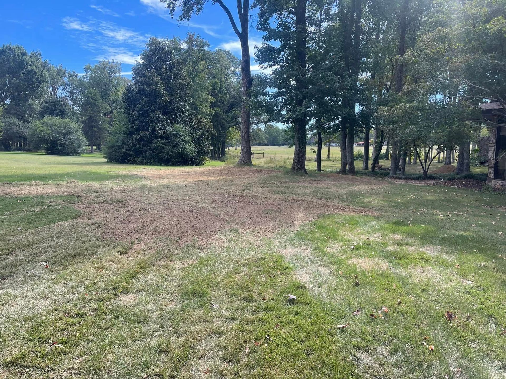 A patch of cleared earth sits in a grassy yard, surrounded by trees under a bright blue sky with wispy clouds.