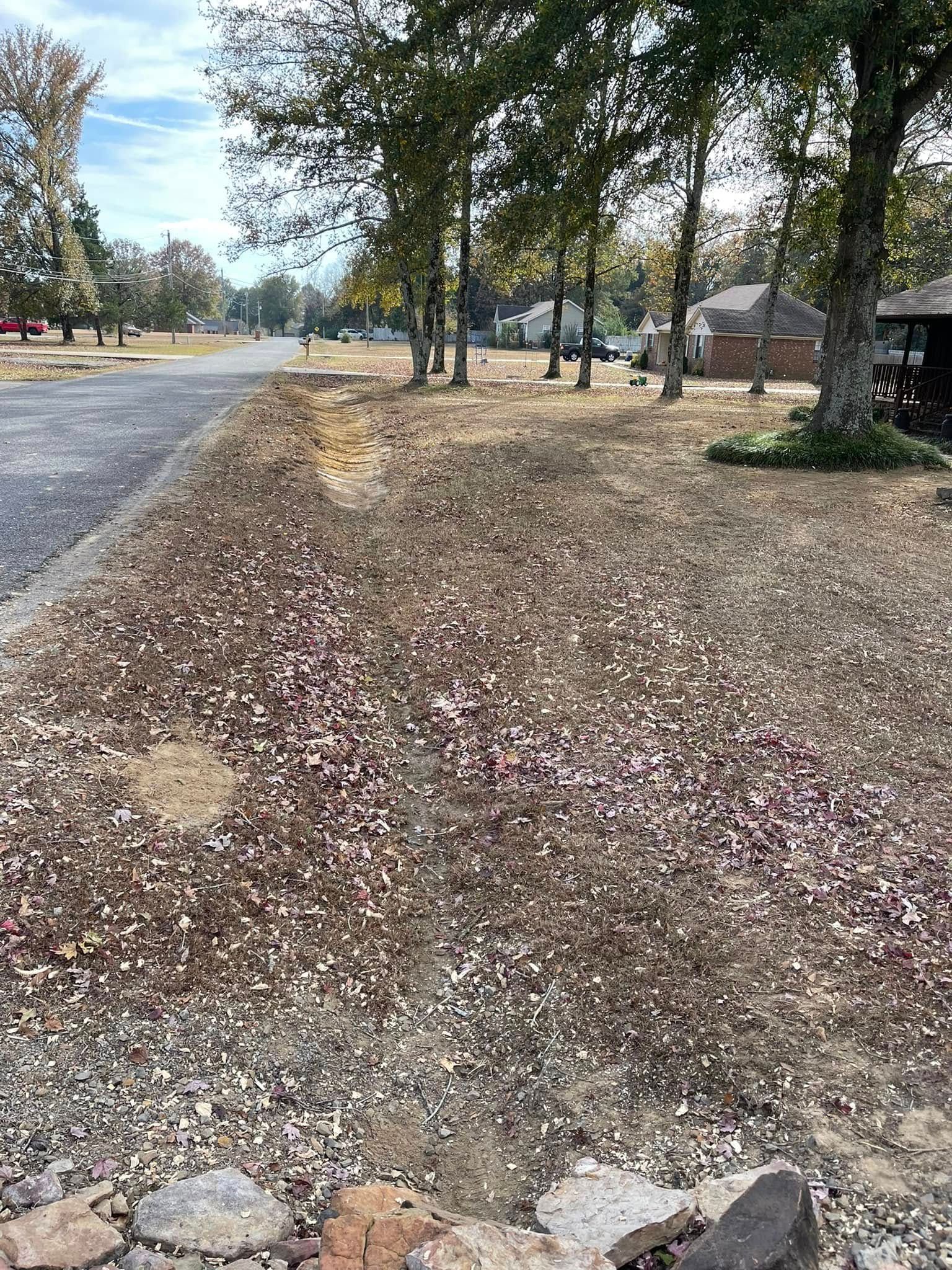 A roadside view of a dry, leaf-covered lawn in autumn with tall trees and houses in the background under a blue sky.