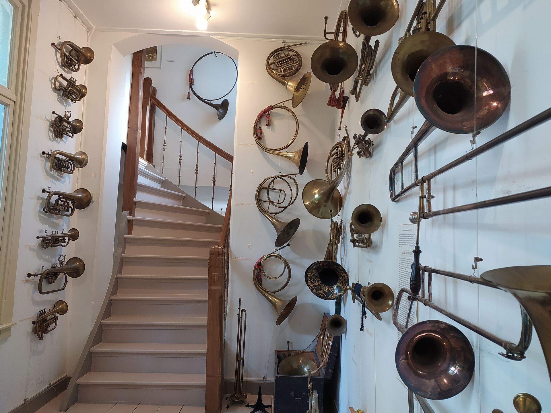 Collectie muziekinstrumenten