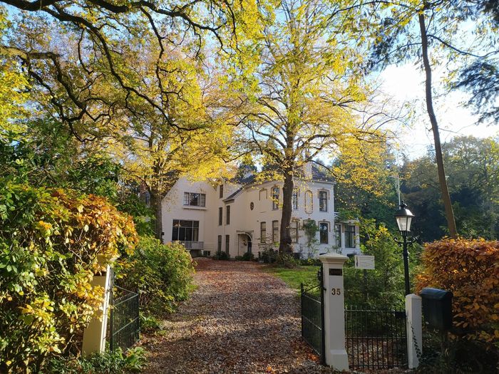 Een groot wit huis is op een zonnige dag omgeven door bomen.