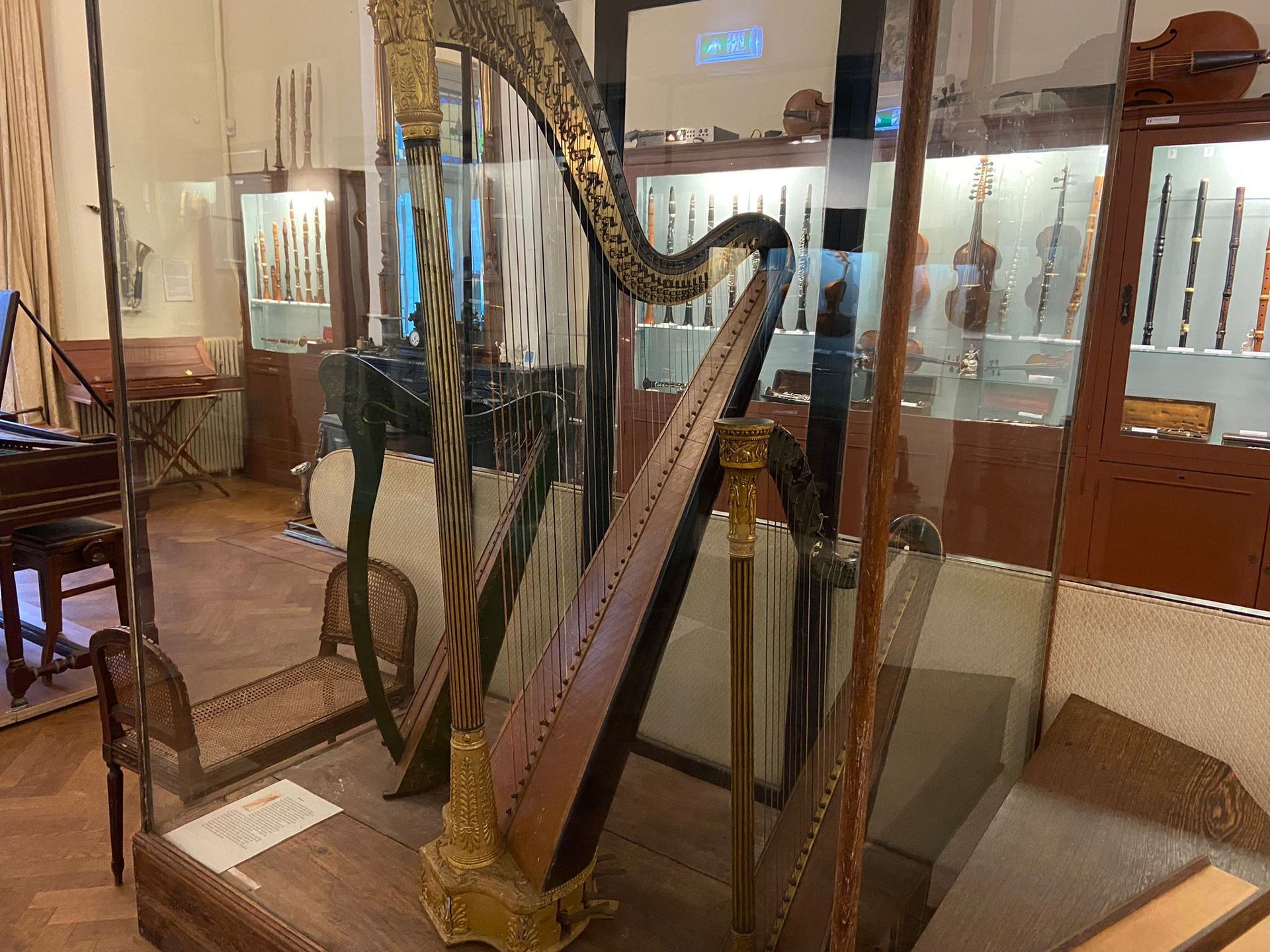 In een museum wordt een harp tentoongesteld in een vitrinekast.