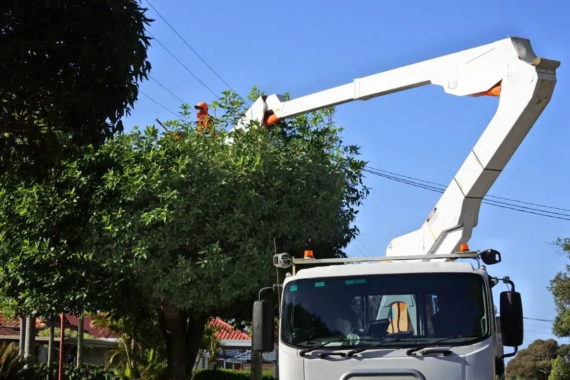 A white bucket truck performing residential tree care.