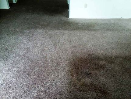 Carpet Cleaning Gallery Smith Mathis Fishers Indiana