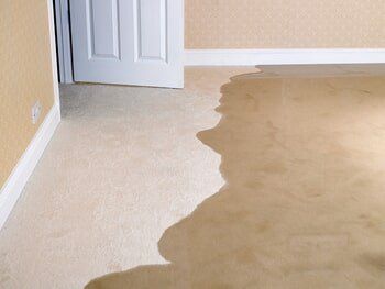 Water Extraction Service — Restore Your Floor & Prevent Flood Damage in Fishers, IN