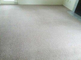 Room with Carpet in Fishers, IN