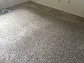 An Iron placed on the Side of the Carpet in Fishers, IN