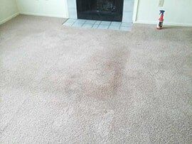 Room with Carpet in Fishers, IN