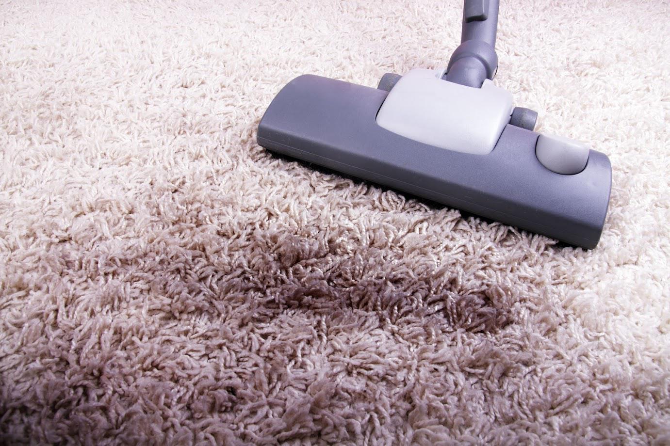 Carpet Cleaning — Fishers, IN — Carpet Cleaning Supply of Indiana