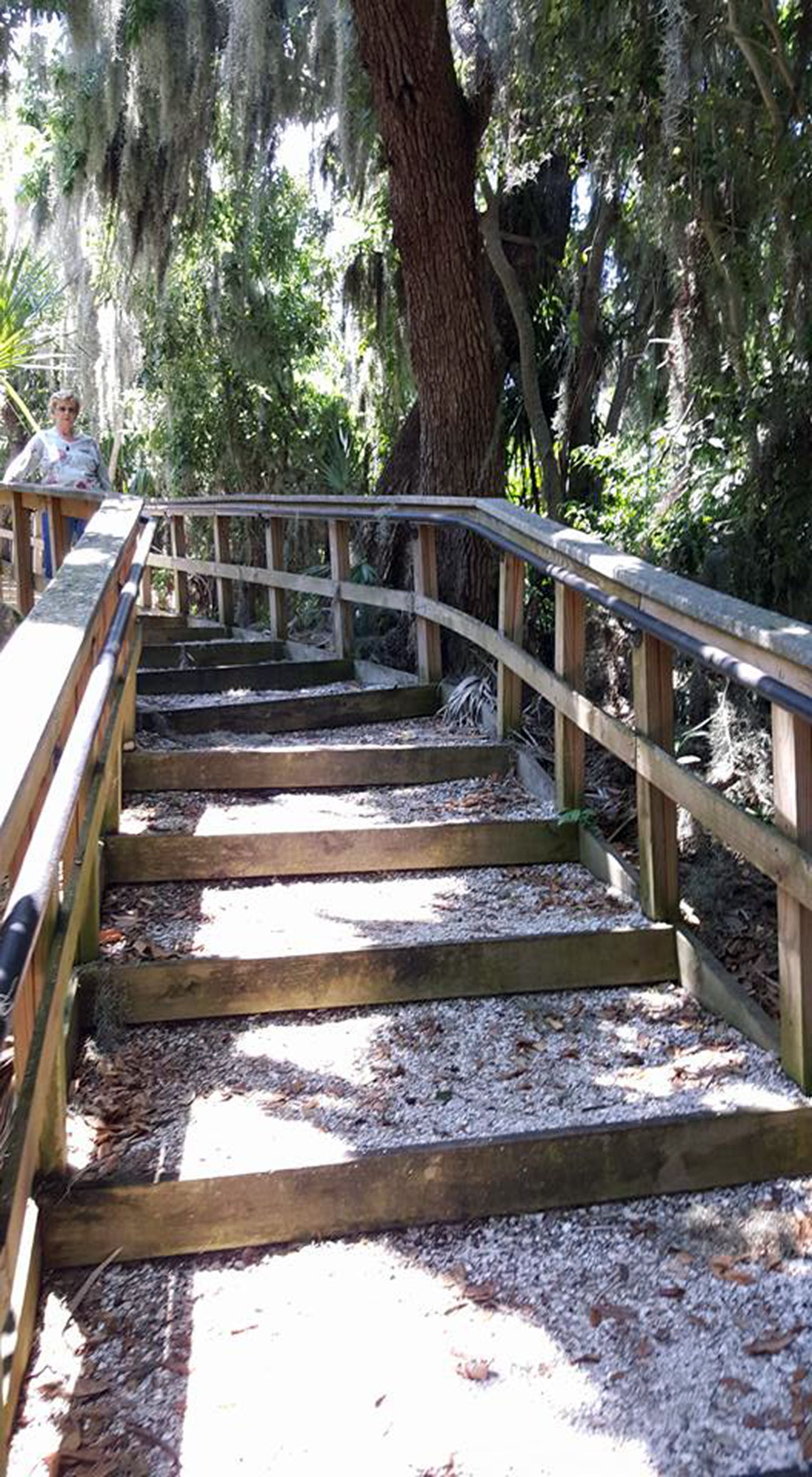 Image of Annie at end of boardwalk stairs