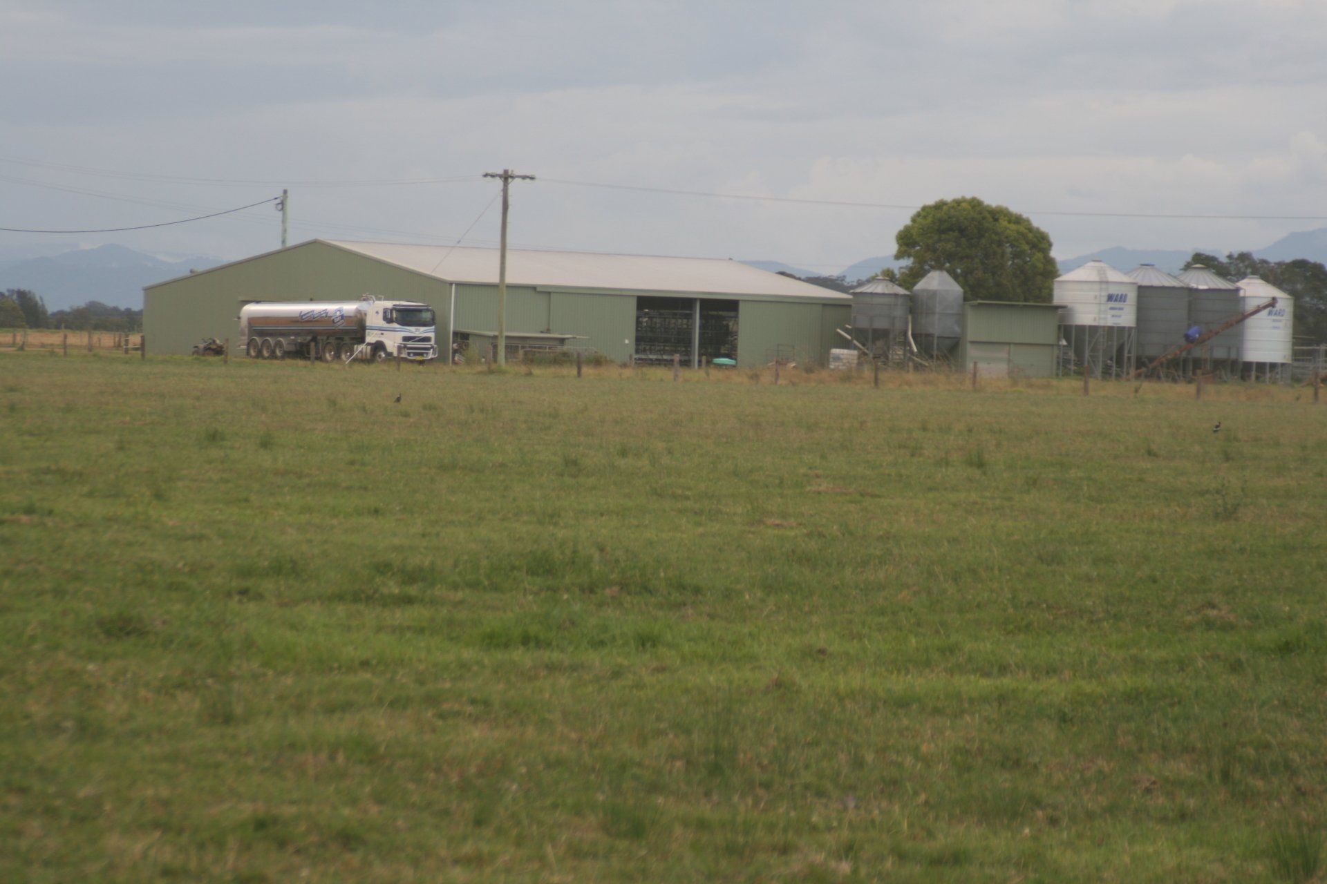 A white truck is parked in a grassy field in front of a building.