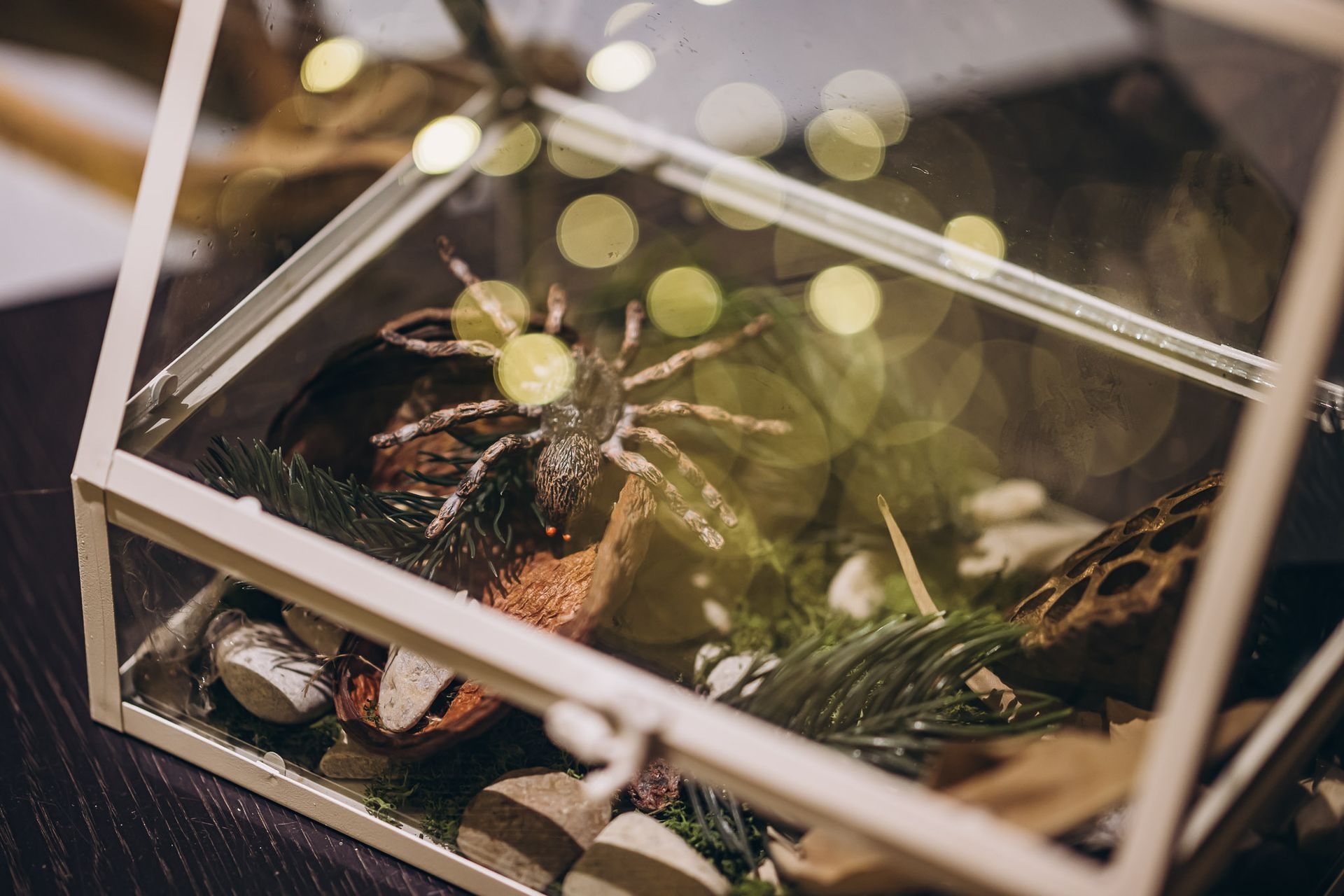 Christmas celebration room 2023