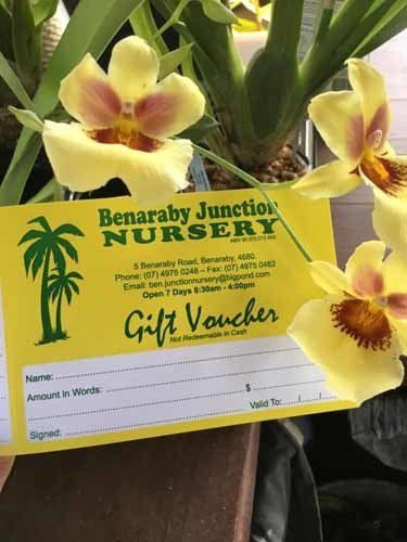 nursery plant label