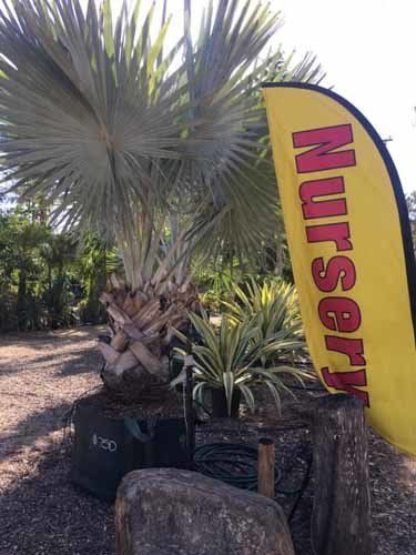 nursery sign