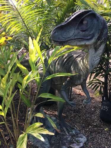 toy dinosaur near plant