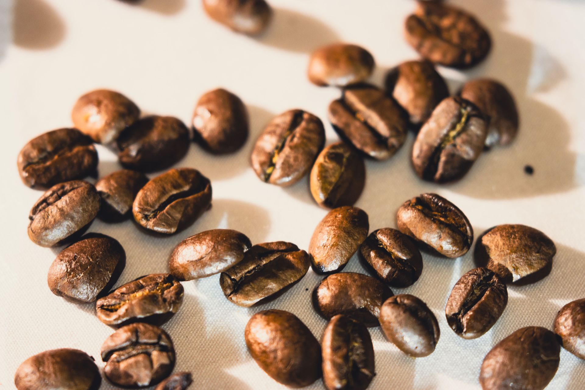 Scattered roasted coffee beans on a light surface with warm sunlight and shadows