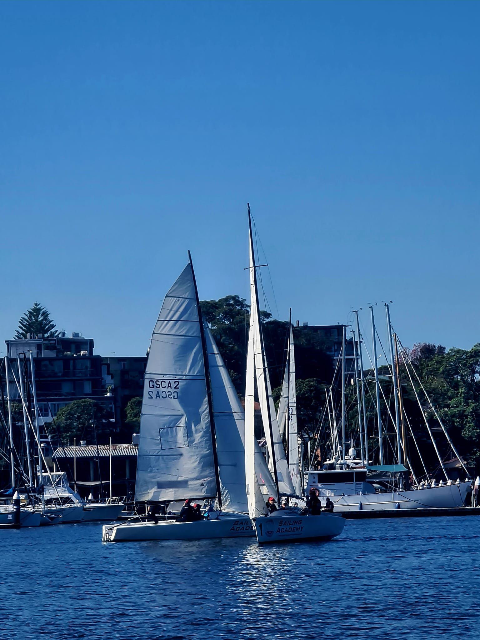 Sailboats on Blue Water — Gosford Sailing Club in Gosford, NSW