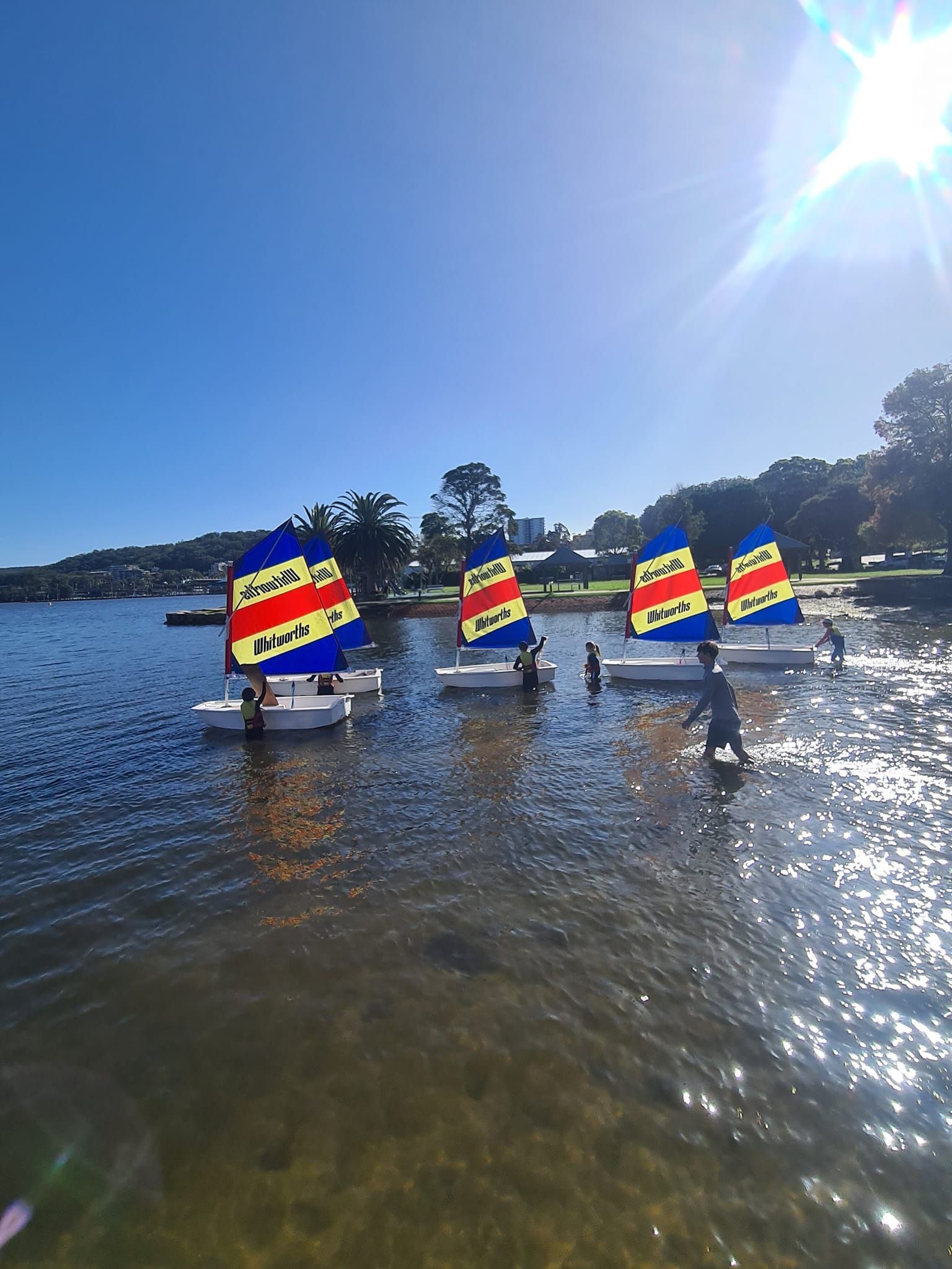 Five Small Sailboats With Colourful Sails on a Lake Under a Bright Sun — Gosford Sailing Club in Gosford, NSW
