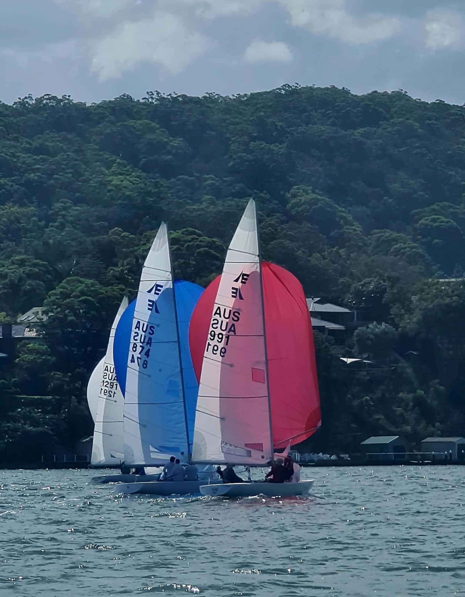 Three Sailboats Are Floating on a Body of Water — Gosford Sailing Club in Gosford, NSW