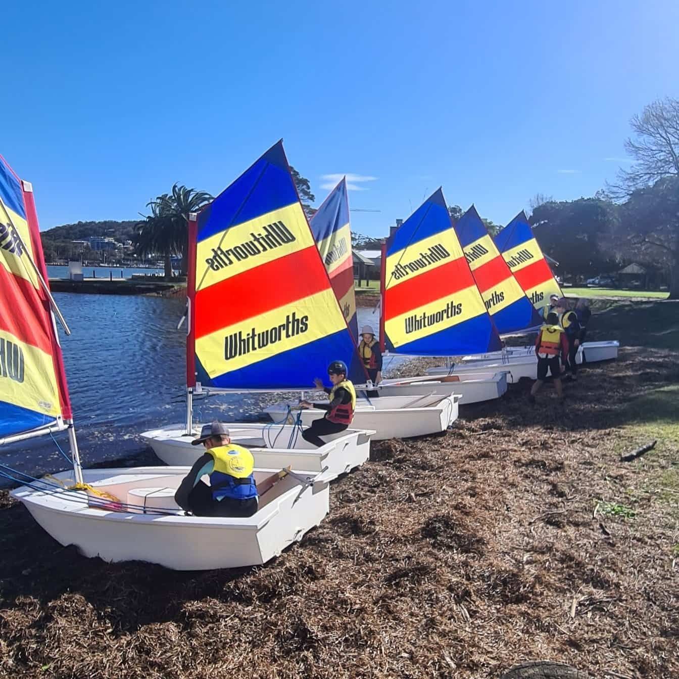 A Row of Sailboats With the Word Whitworths on the Sails — Gosford Sailing Club in Gosford, NSW