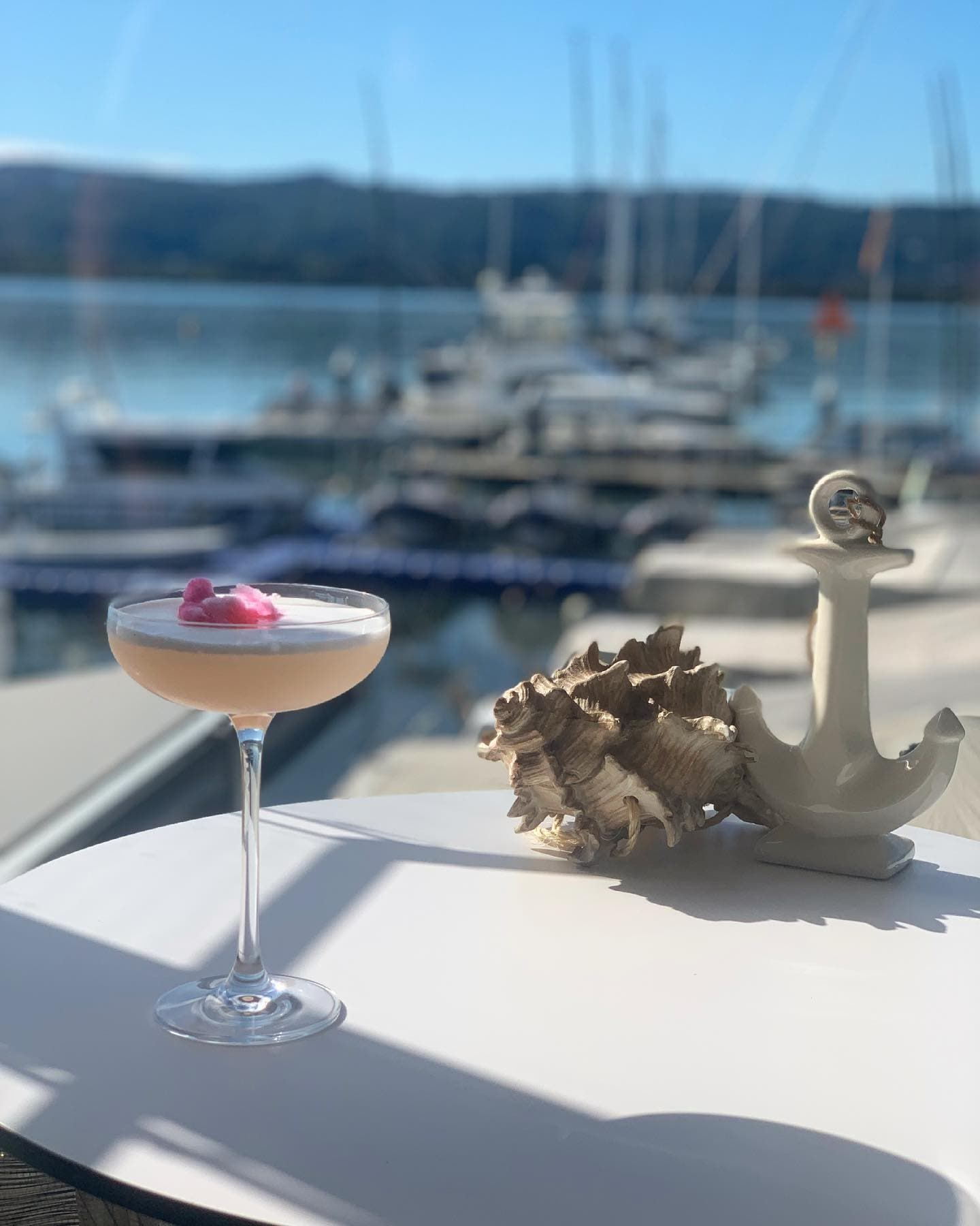 A Cocktail is Sitting on a Table Next to an Anchor and a Seashell — Gosford Sailing Club in Gosford, NSW