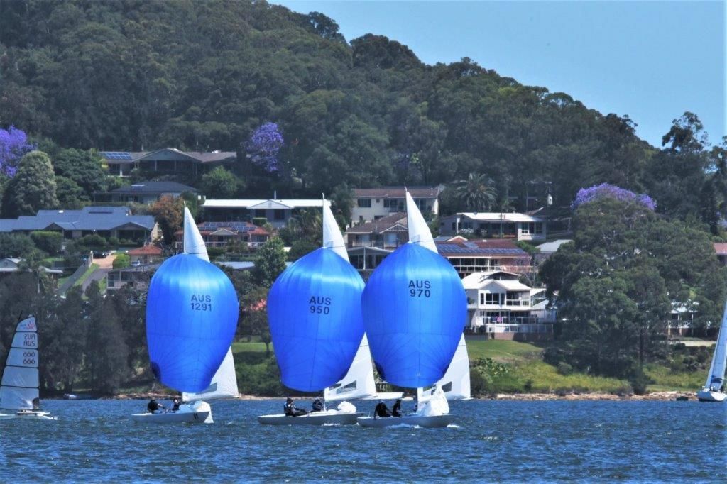 Three sailboats with inflated blue spinnakers racing on water, trees and houses in background. — Gosford Sailing Club in Gosford, NSW