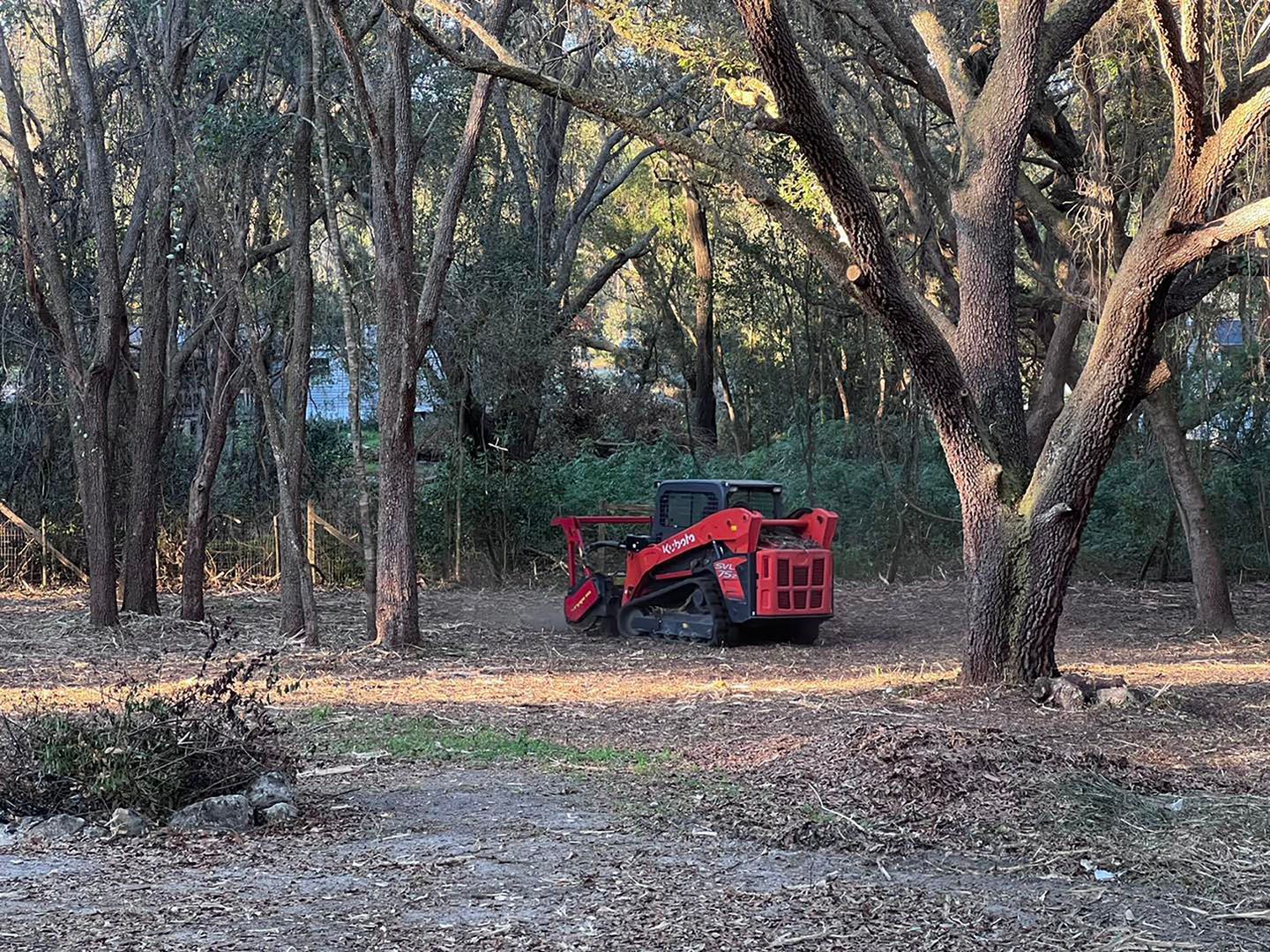 De-cluttering Land — Dade City, FL — Stealth Mulching