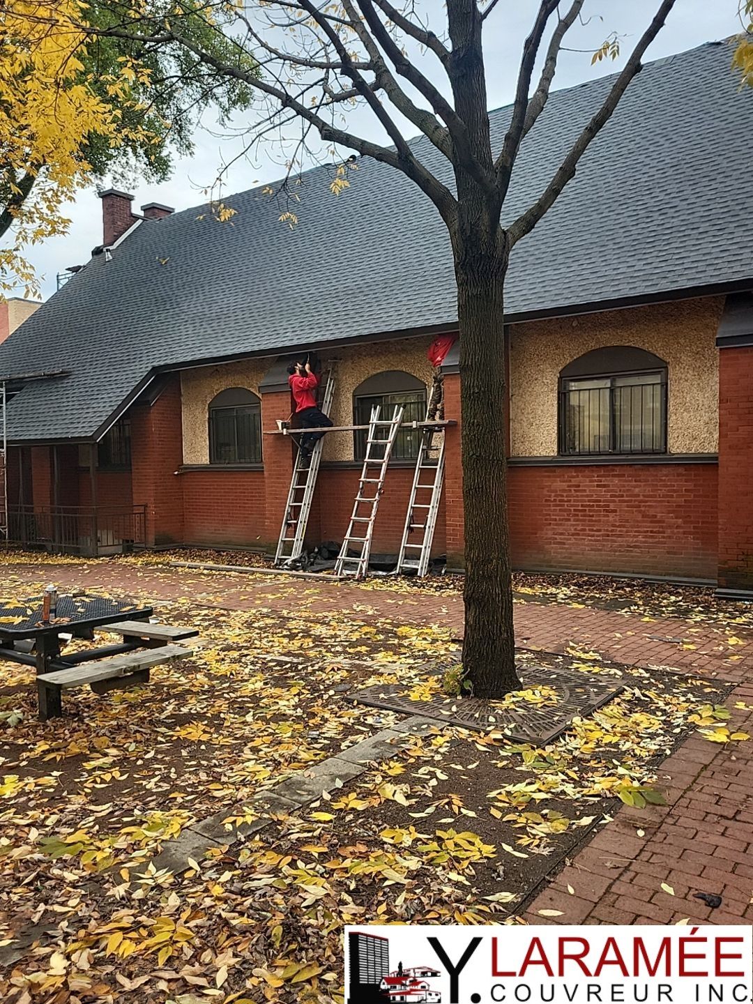 Bâtiment en bois recouvert d'une épaisse végétation verte.