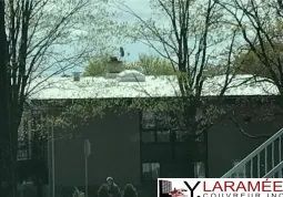 Un toit enneigé d'un bâtiment avec des arbres en arrière-plan.