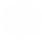 Blank white background.