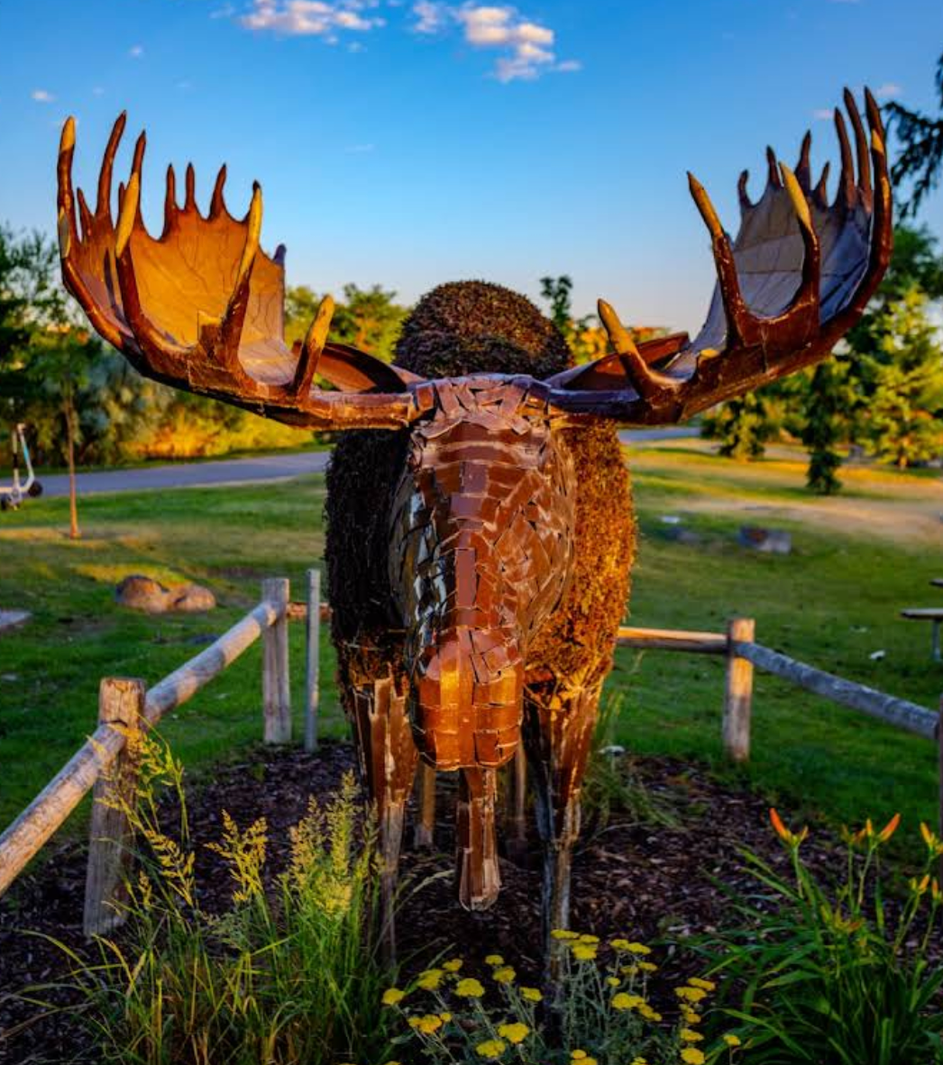 Equinox Townhomes on Lincoln camping 