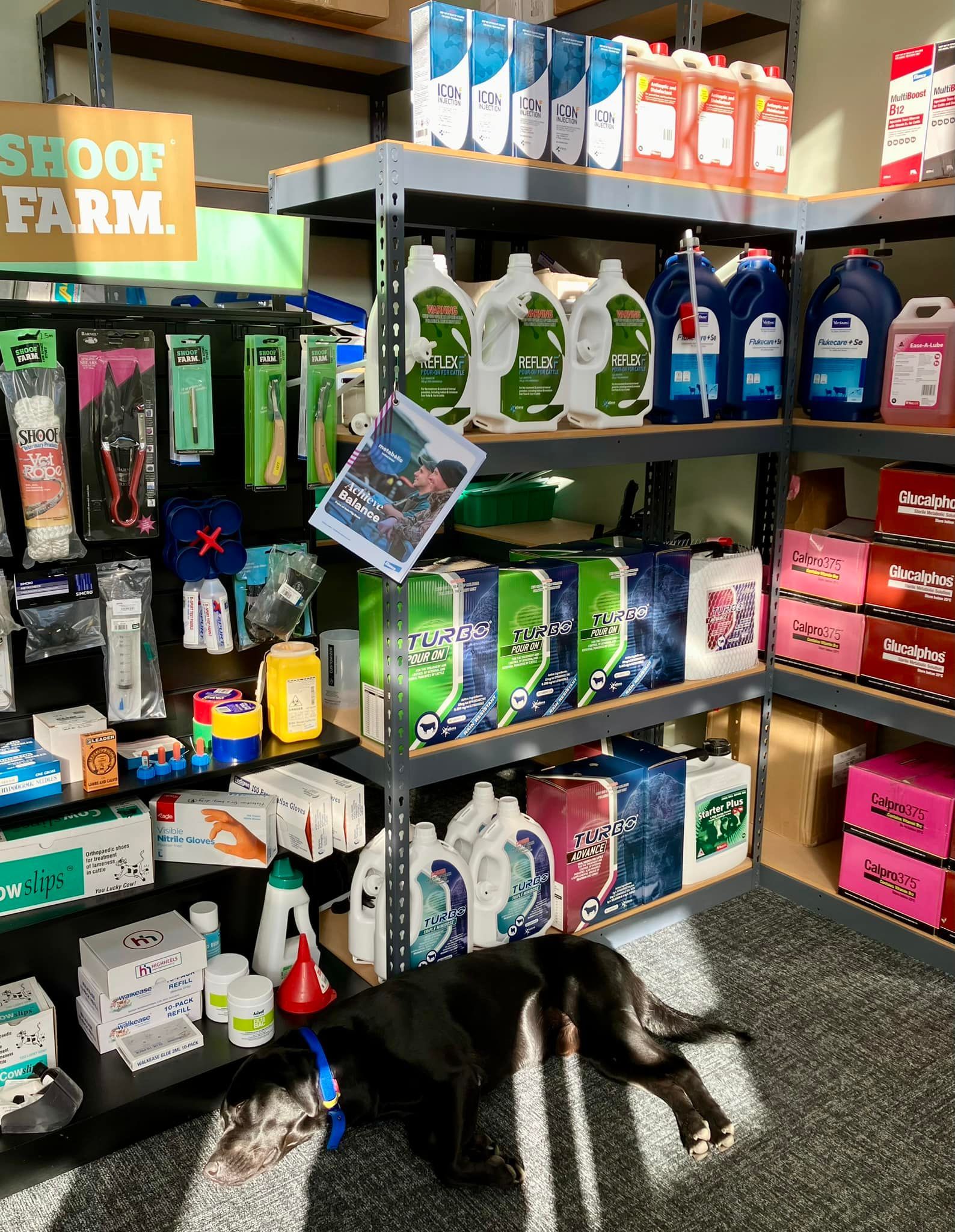 Paradise Farm Vets Retail