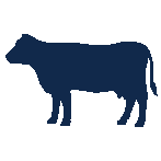 Icon of cow