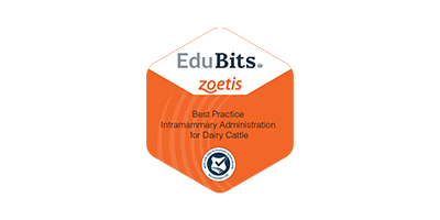 Edu Bits Logo