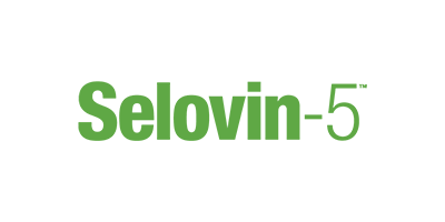 Selovin Logo