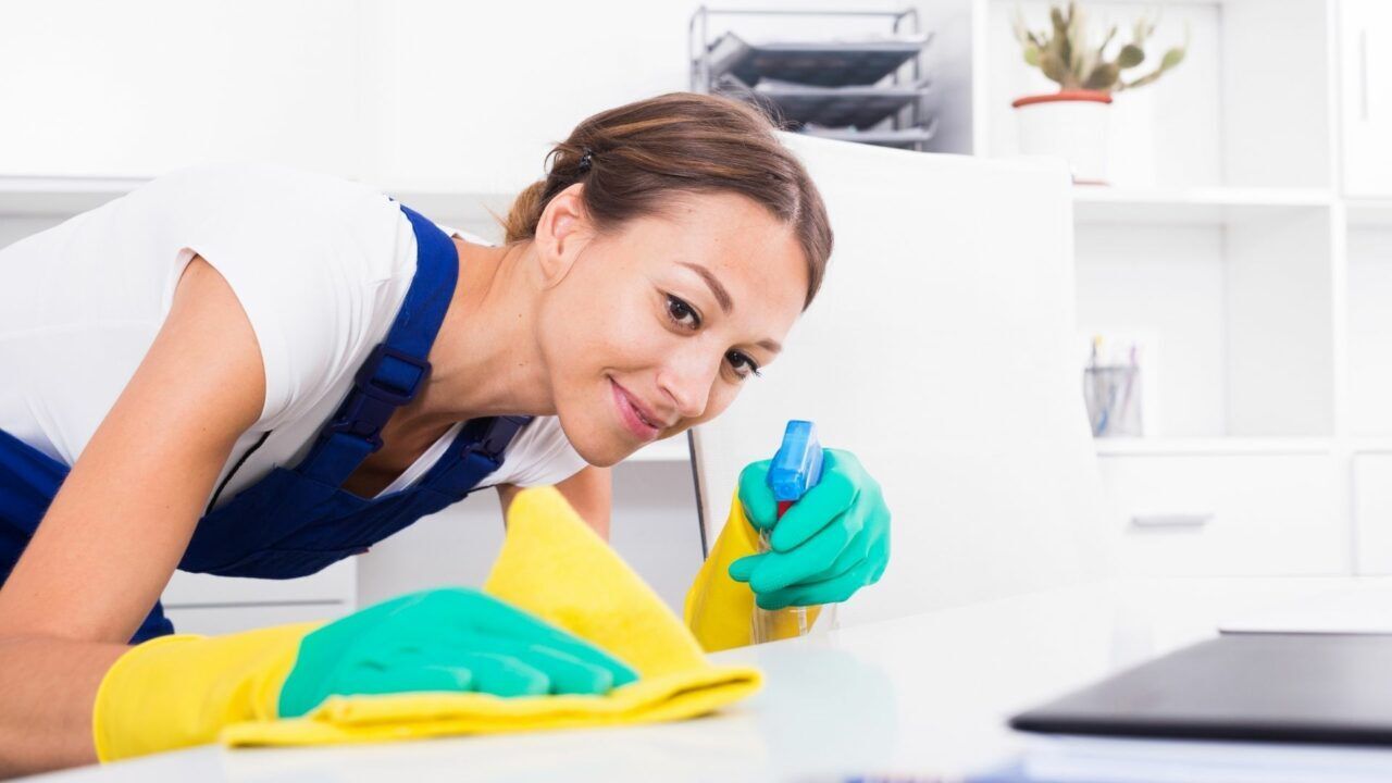 Professional Cleaner — Odessa, FL — The Cleaning Pros