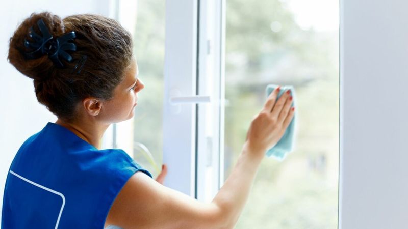 Cleaning the Window — Odessa, FL — The Cleaning Pros