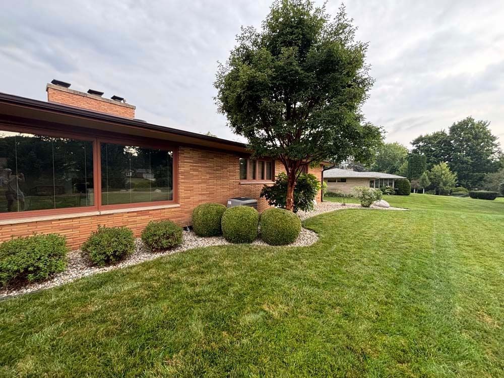 A one-story brick house with large windows and a manicured lawn featuring a large tree and rounded shrubs.