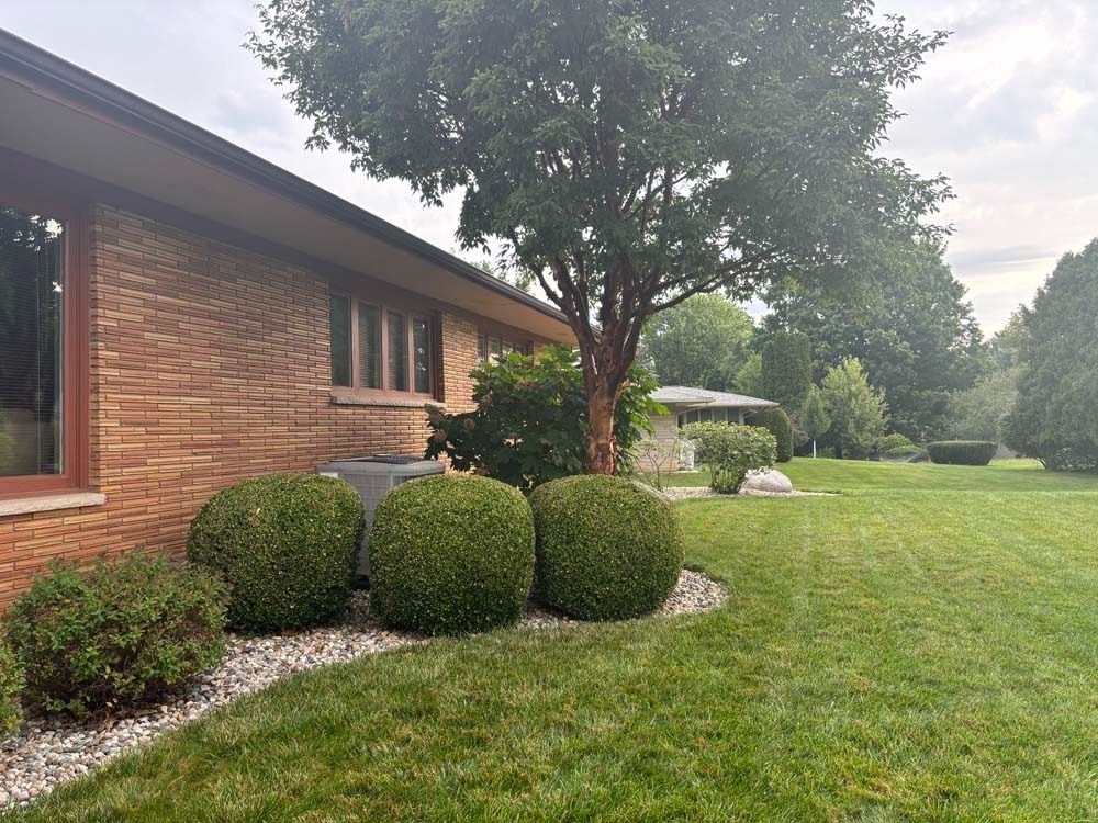 A brick house exterior with a row of spherical green shrubs in front and a large tree in a grassy yard.