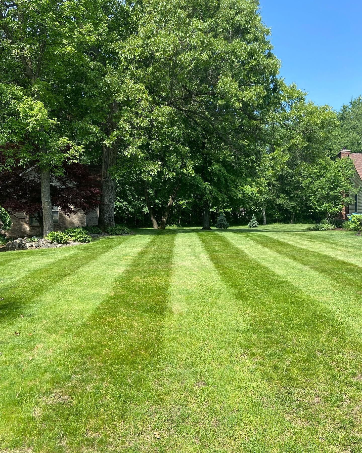 A bright green lawn with crisp, alternating light and dark stripes mowed into the grass, surrounded by mature trees.