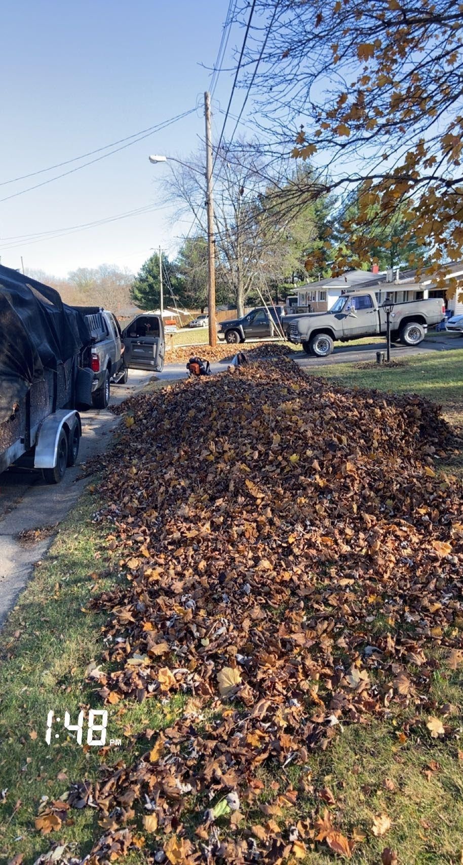 A large pile of fallen brown leaves sits on a residential lawn next to a trailer, with vehicles parked on the street.