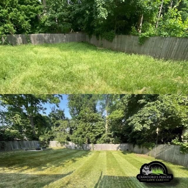Before and after comparison of a backyard, showing an overgrown lawn transformed into a neatly mowed space.