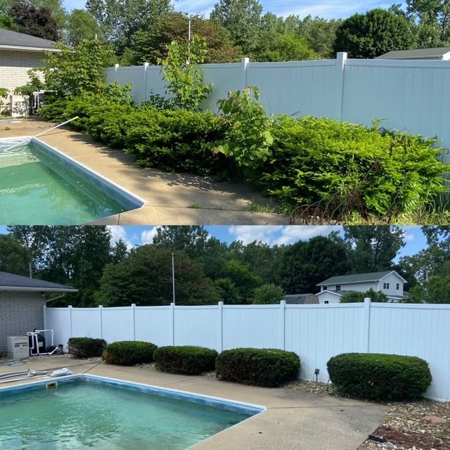 Before and after comparison of a backyard pool area showing overgrown shrubs being trimmed into rounded shapes.