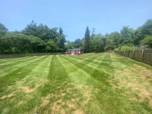 A wide, sunny backyard featuring a neatly mowed lawn with stripes, surrounded by a wooden fence and lush green trees.